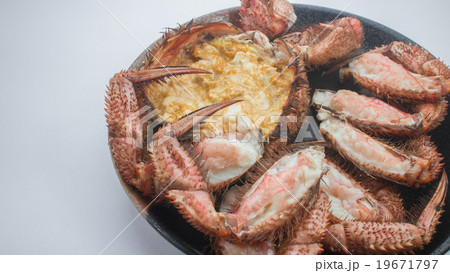 皿盛りされた焼き毛蟹 皿盛りされた焼き毛蟹 19671797