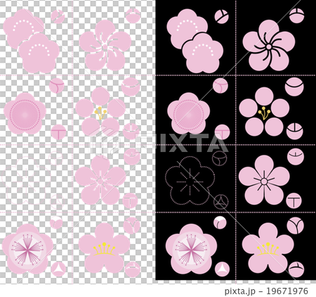 Plum Illustration Plum Illustration 19671976