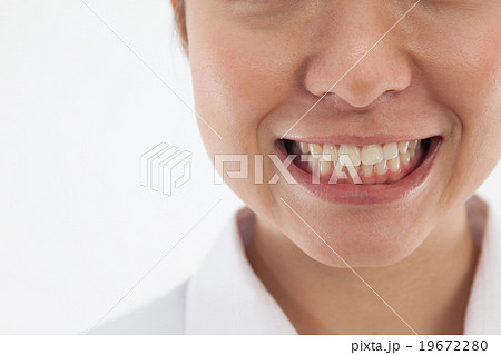 綺麗 な 歯並び