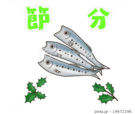 節分のイラスト　いわし　ひいらぎ　白バック 19672296