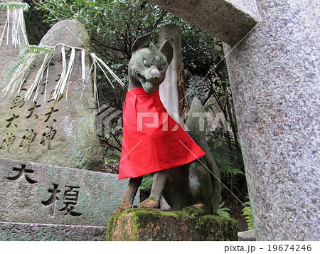 伏見稲荷 19674246