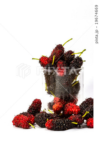 fresh organic mulberry in white background. 19674669