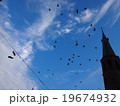 鳥の群れ 19674932