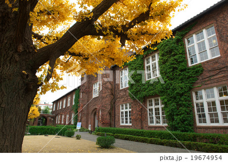 立教大学 19674954