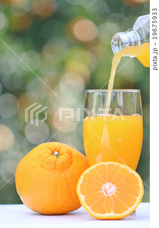 デコポンジュース多目　縦位置　注ぐ 19675933