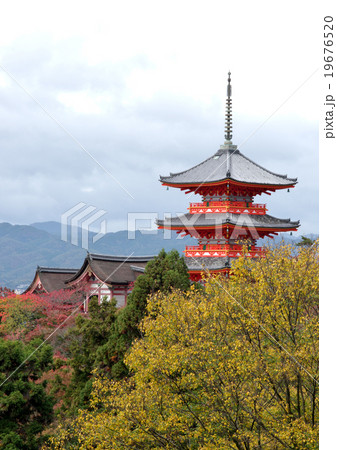 京都 清水寺 三重塔 京都 清水寺 三重塔 19676520