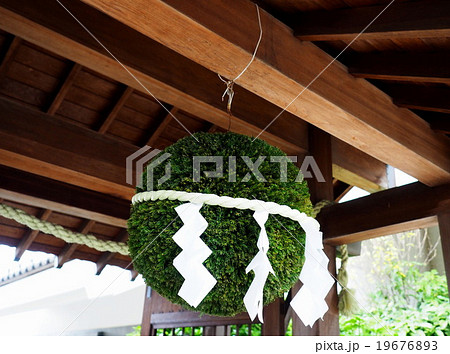 杉玉 造り酒屋 杉玉 造り酒屋 19676893