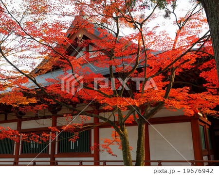 世界遺産 平泉 毛越寺 紅葉 世界遺産 平泉 毛越寺 紅葉 19676942