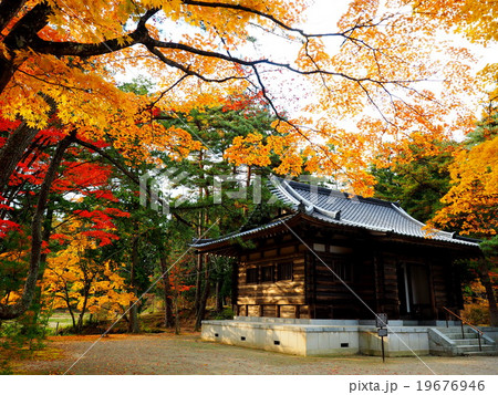 世界遺産 平泉 毛越寺 紅葉 世界遺産 平泉 毛越寺 紅葉 19676946