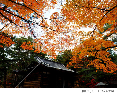世界遺産 平泉 毛越寺 紅葉 世界遺産 平泉 毛越寺 紅葉 19676948
