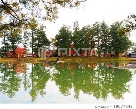 世界遺産 平泉 毛越寺 紅葉 世界遺産 平泉 毛越寺 紅葉 19677049