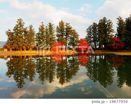 世界遺産 平泉 毛越寺 紅葉の写真素材