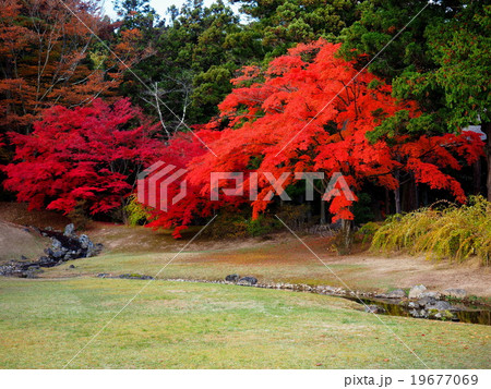 世界遺産　平泉　毛越寺　紅葉 19677069