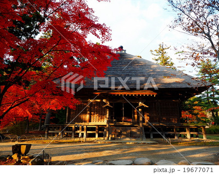 世界遺産 平泉 毛越寺 紅葉 世界遺産 平泉 毛越寺 紅葉 19677071