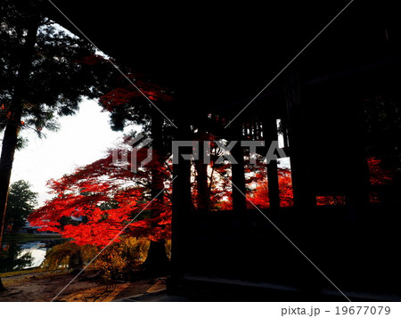 世界遺産 平泉 毛越寺 紅葉 世界遺産 平泉 毛越寺 紅葉 19677079