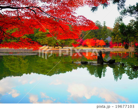 世界遺産　平泉　毛越寺　紅葉 19677103