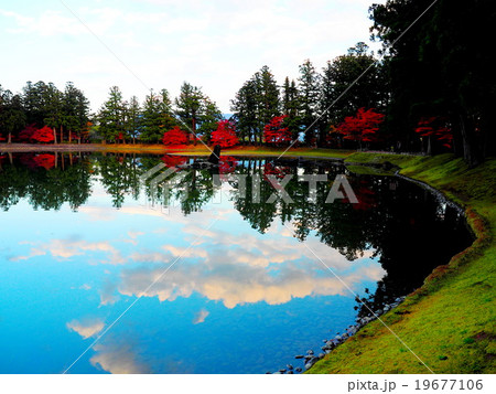 世界遺産 平泉 毛越寺 紅葉 世界遺産 平泉 毛越寺 紅葉 19677106