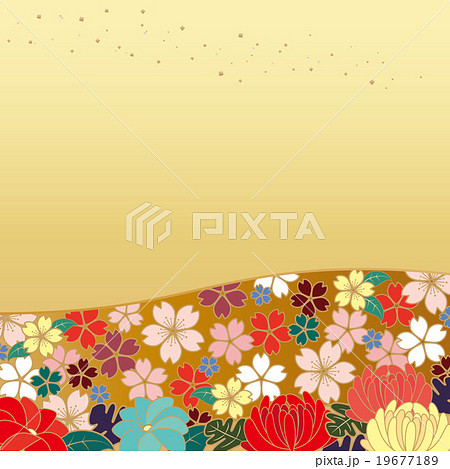 背景素材 和 桜模様の帯 菊 金背景 のイラスト素材