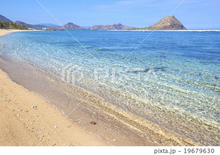 Tropical beach 19679630