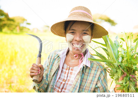 Traditional mature Burmese female farmer 19680511