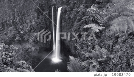 Waterfall Nature Scenics Waterfall Forest Concept Waterfall Nature Scenics Waterfall Forest Concept 19682470