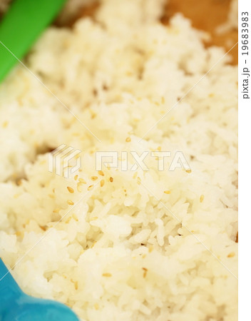 白米と白ごま 白米と白ごま 19683983