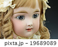 ビスクドール 19689089