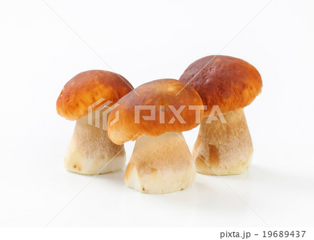 Fresh edible mushrooms Fresh edible mushrooms 19689437