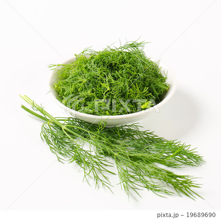 Fresh dill leaves 19689690