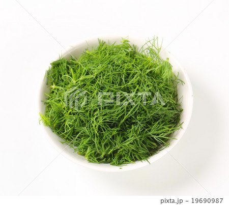 Fresh dill leaves 19690987