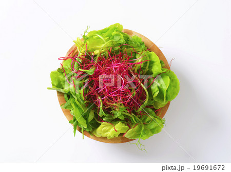 Mixed green salad 19691672