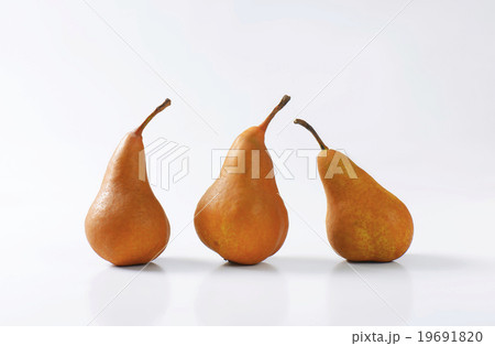 Ripe Bosc pears Ripe Bosc pears 19691820