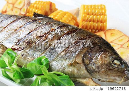 Grilled trout 19692718