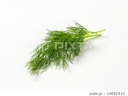 Fresh dill weed Fresh dill weed 19692810