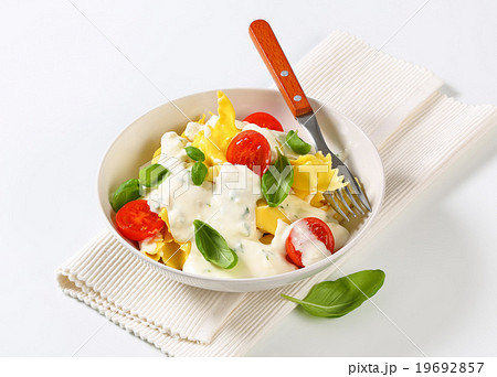 Stuffed pasta with cheese sauce 19692857