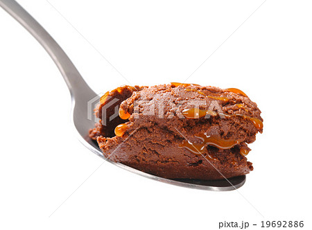 Chocolate ice cream 19692886