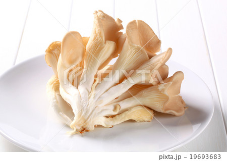 Fresh oyster mushrooms 19693683