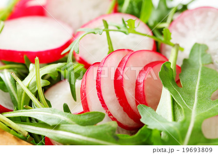 Salad greens with sliced radish Salad greens with sliced radish 19693809
