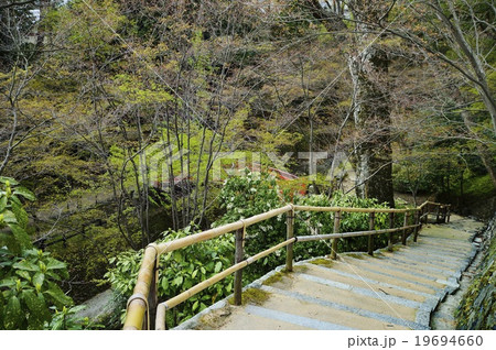 御土居 北野天満宮 京都の写真素材
