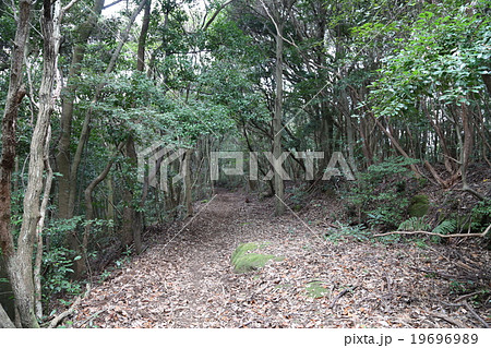 長崎街道の写真 長崎街道の写真 19696989