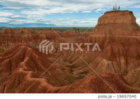 Cliff with cactus and valley of red orange sand 19697040