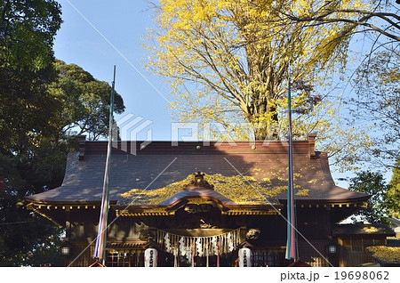 麻賀多神社 佐倉 千葉 麻賀多神社 佐倉 千葉 19698062