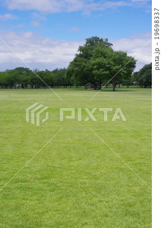 熊本城公園 夏 芝生 熊本城公園 夏 芝生 19698337