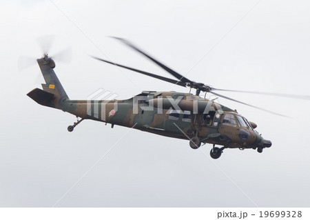 ヘリコプター:ブラックホーク ヘリコプター:ブラックホーク 19699328