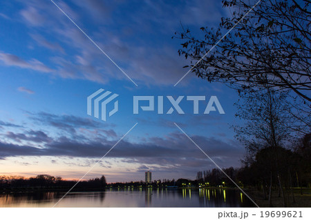 水元公園の夜明け前 19699621