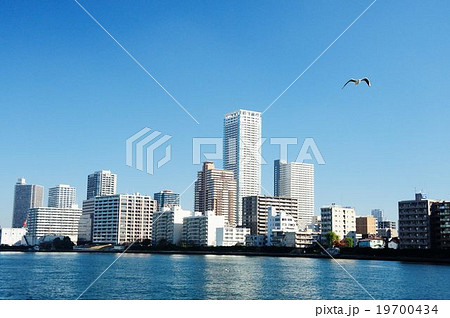 勝鬨橋からの風景 勝鬨橋からの風景 19700434