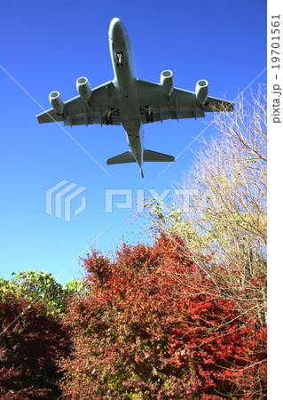 秋の紅葉に染まる木々の上空を飛行する海上自衛隊の哨戒機P-1 19701561