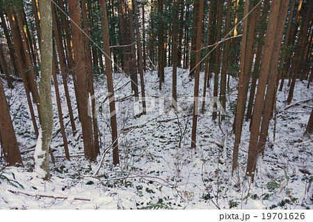 渋温泉よりスノーモンキー地獄谷までの道すがら 渋温泉よりスノーモンキー地獄谷までの道すがら 19701626