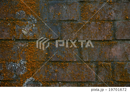 背景素材 19701672