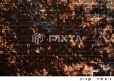 背景素材 19701673